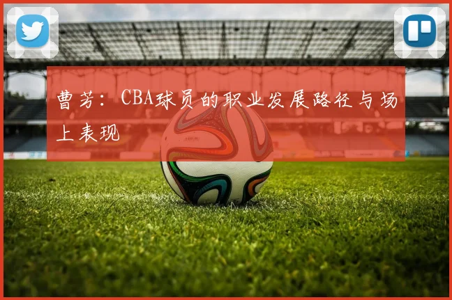 曹芳：CBA球员的职业发展路径与场上表现