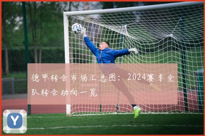 德甲转会市场汇总图：2024赛季全队转会动向一览